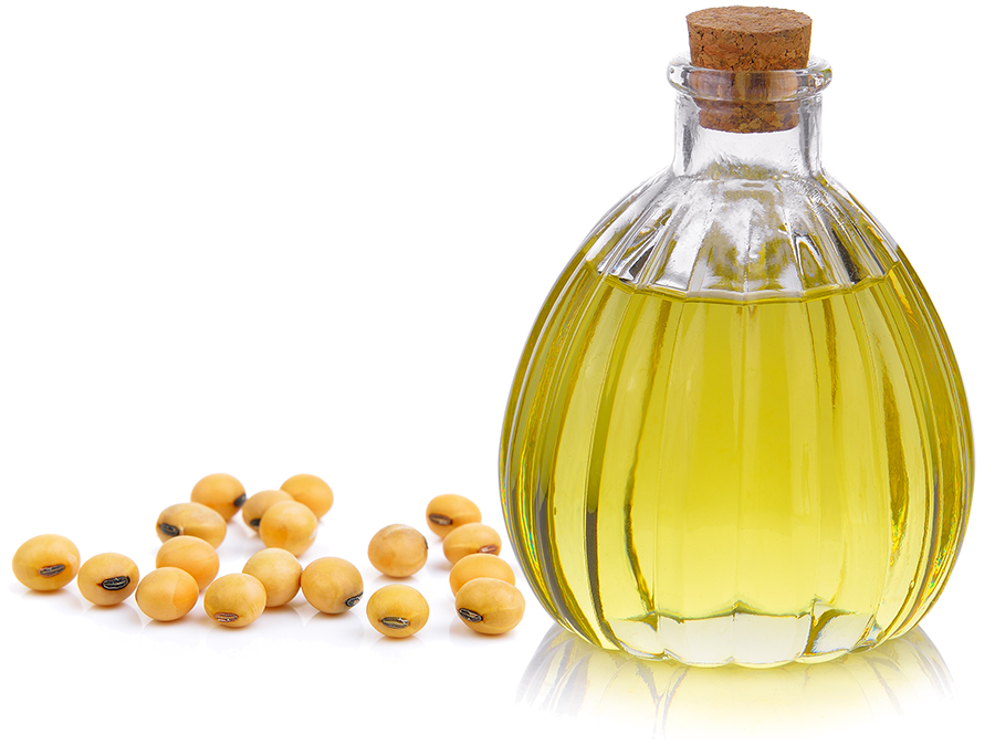 soybean-oil-business-ain